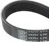 SKF VKMV 6PK1261 Courroie Multi-V Accessoires Haute Qualité