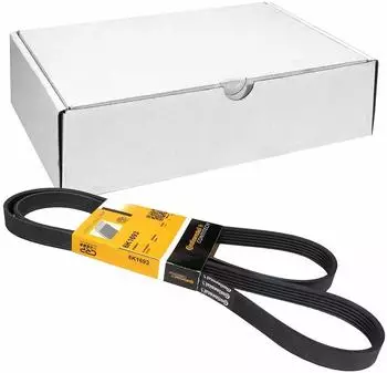 Continental CTAM Keilrippenriemen 6PK1693
