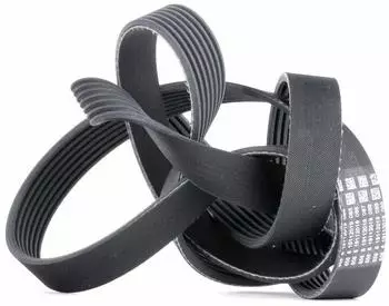Continental CTAM Keilrippenriemen 7PK1785
