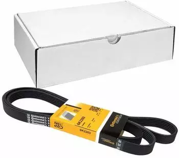 Continental Keilrippenriemen 6PK2260