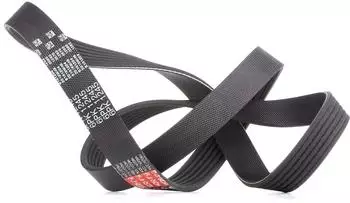 Gates Keilrippenriemen Micro-V 6PK1245