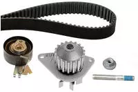 Schaeffler Ina Wasserpumpe + Zahnriemensatz 530 0335 30