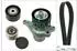Ina Keilrippenriemensatz für RENAULT DACIA VAUXHALL NISSAN OPEL 529 0423 20