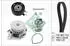 Ina Wasserpumpe + Zahnriemensatz für SKODA VW SEAT AUDI 530 0166 31
