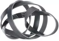 Schaeffler Ina Keilrippenriemen FB 6PK1613