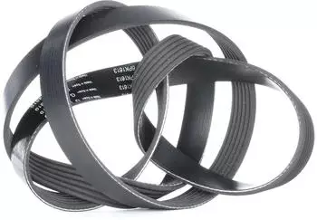 Ina f&uuml;r SKODA VW SEAT FIAT AUDI IVECO VAUXHALL FORD LANCIA VOLVO OPEL FB 6PK1613