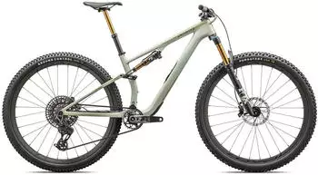 Specialized Epic 8 EVO Pro satin forest green/spruce/metallic spruce