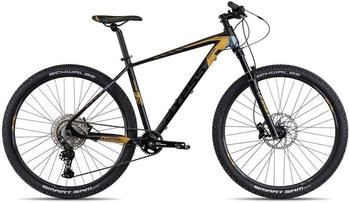 Axess Mountainbike
