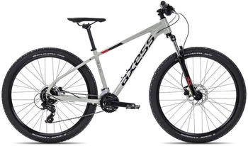 Axess BRASH grey