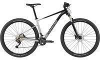 Cannondale Trail SL 4 grey L | 47cm (29") 2021 Mountainbikes