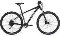 Cannondale Trail 5 graphite L | 48cm | 29" (29") 2021 Mountainbike Hardtails