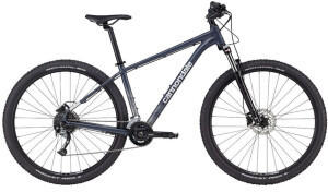 Cannondale Trail 6 (2021) 29" slate gray