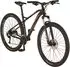 Prophete GRAVELER MTB 29