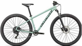 Specialized Rockhopper Comp 29" (2022) gloss cast white sage/satin forest green