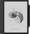 Onyx Boox Note Air 4 C