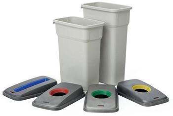 Rotho Abfalleimer Selecto M - Basic 55 Liter 4000306189 Farbe: grau