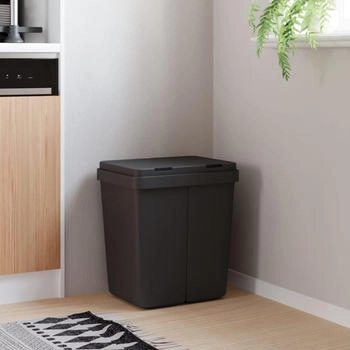 vidaXL Duo Abfalleimer Anthrazit (154982)
