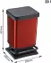 Rotho Paso Treteimer (20 L) rot