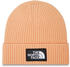 The North Face Logo Box Cuff Beanie (NF0A3FJX)