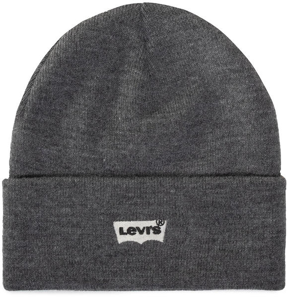 Levi's Embroidered Batwing Slouchy Cap grey