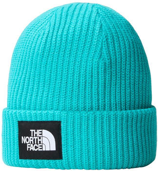 The North Face Salty Dog Beanie (NF0A3FJW) apres blue