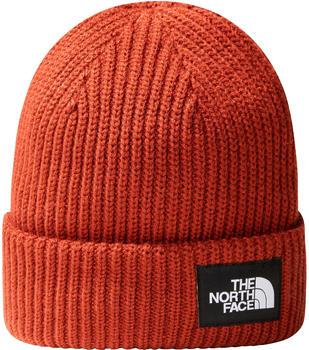 The North Face Salty Dog Beanie (NF0A3FJW) brandy brown