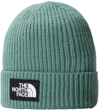 The North Face Logo Box Cuff Beanie (NF0A3FJX) mint
