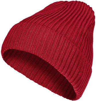 Patagonia Fisherman's Rolled Beanie (29105) touring red