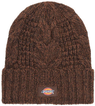 Dickies Hoxie Beanie (DK0A4YHOD711) brown