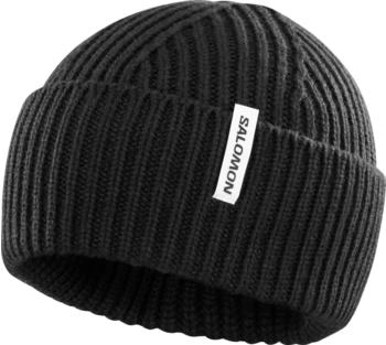 Salomon Snowbird Beanie DeepBlack