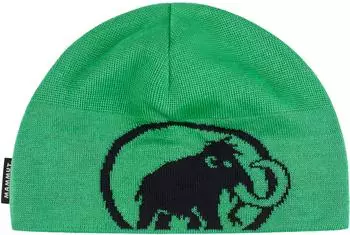 Mammut Tweak Beanie pinea/black