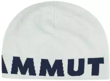 Mammut Logo Beanie silversage/marine