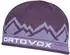 Ortovox Peak Beanie