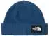The North Face Unisex Salty Lined Beanie (NF0A8CGZ)