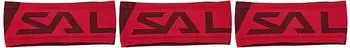 Salewa Pedroc Seamless Headband redplum/1830
