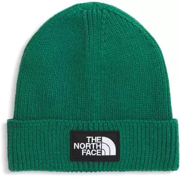 The North Face TNF Logo Box Beanie (NF0A8CHE) evergreen