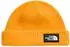 The North Face Unisex Salty Lined Beanie (NF0A8CGZ)