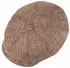 Lierys Uni Structure Flatcap (2-teilig) rost