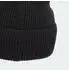 Adidas Terrex Xploric Merino Beanie Black /L (JM0458)