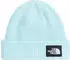 The North Face Unisex Salty Lined Beanie (NF0A8CGZ)
