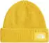 The North Face Unisex Salty Lined Beanie (NF0A8CGZ)