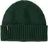 Patagonia Brodeo Beanie