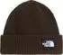 The North Face Unisex Salty Lined Beanie (NF0A8CGZ)
