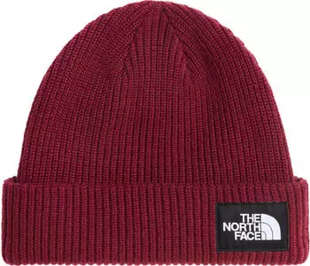 The North Face Unisex Salty Lined Beanie (NF0A8CGZ)