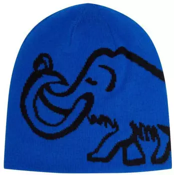 Mammut Logo Reversible Beanie