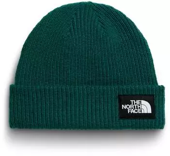 The North Face Salty Lined Beanie (NF0A8CGZ) pacific teal