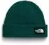 The North Face Unisex Salty Lined Beanie (NF0A8CGZ)