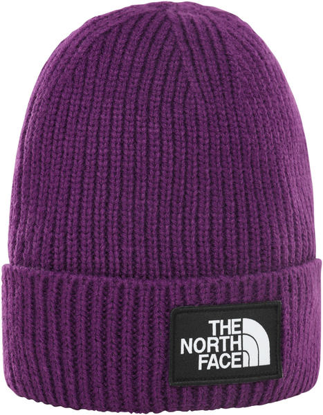 The North Face Logo Box Cuff Beanie (NF0A3FJX)