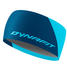 Dynafit Performance Dry 2.0 Headband silvretta
