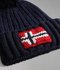 Napapijri Semiury 5 Beanie (NP0A4GKB1761)